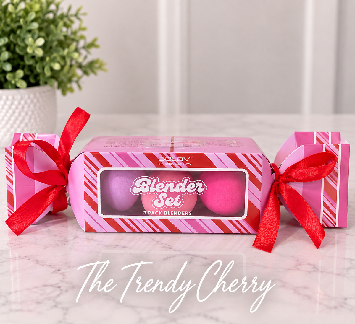 Makeup Blender gift set